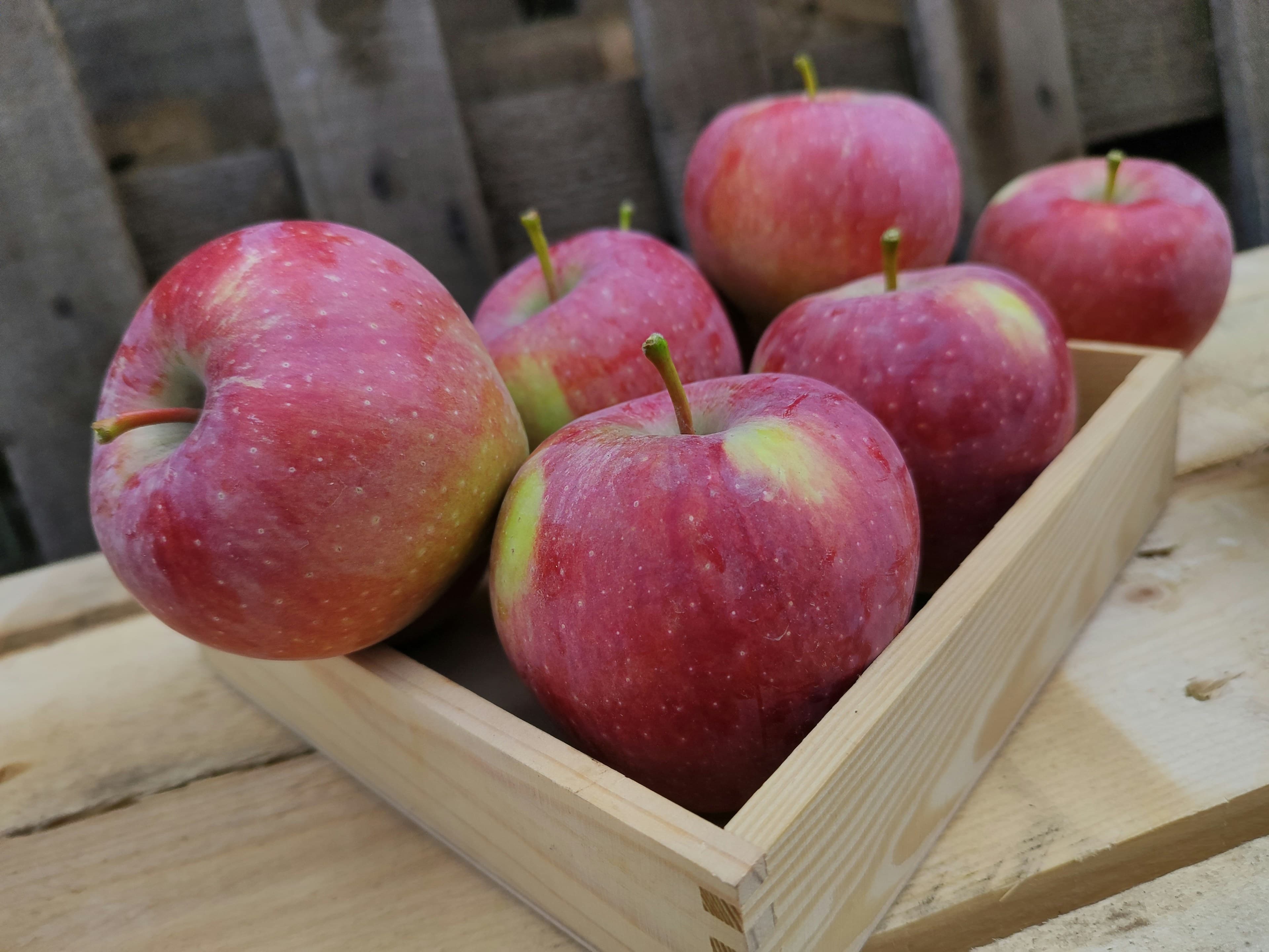 A Taste of Kinnaur apple box opened at a table